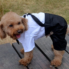 Pet suit trousers