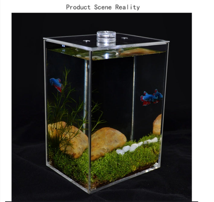 Fish tank creative transparent white square