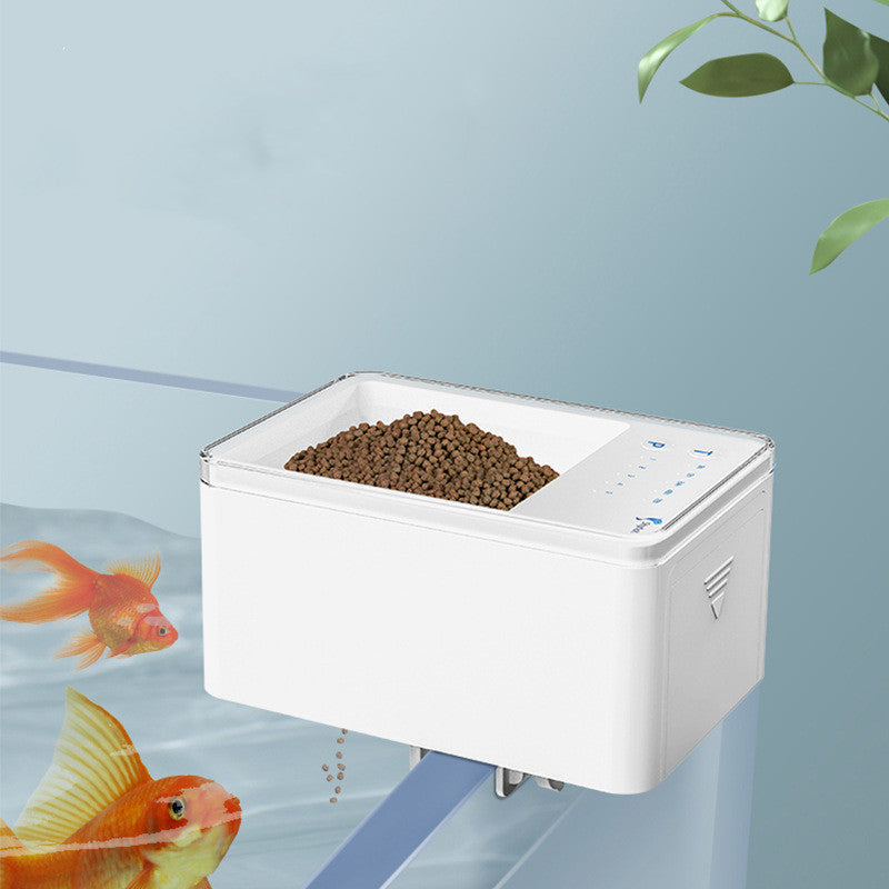 Fish feeding device