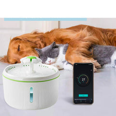 Pet Cat Drinking Fountain