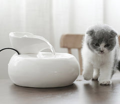 Cat water feeder