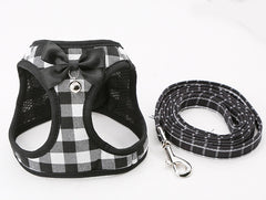 Cat Harness, Cat Collar, Dog Leash