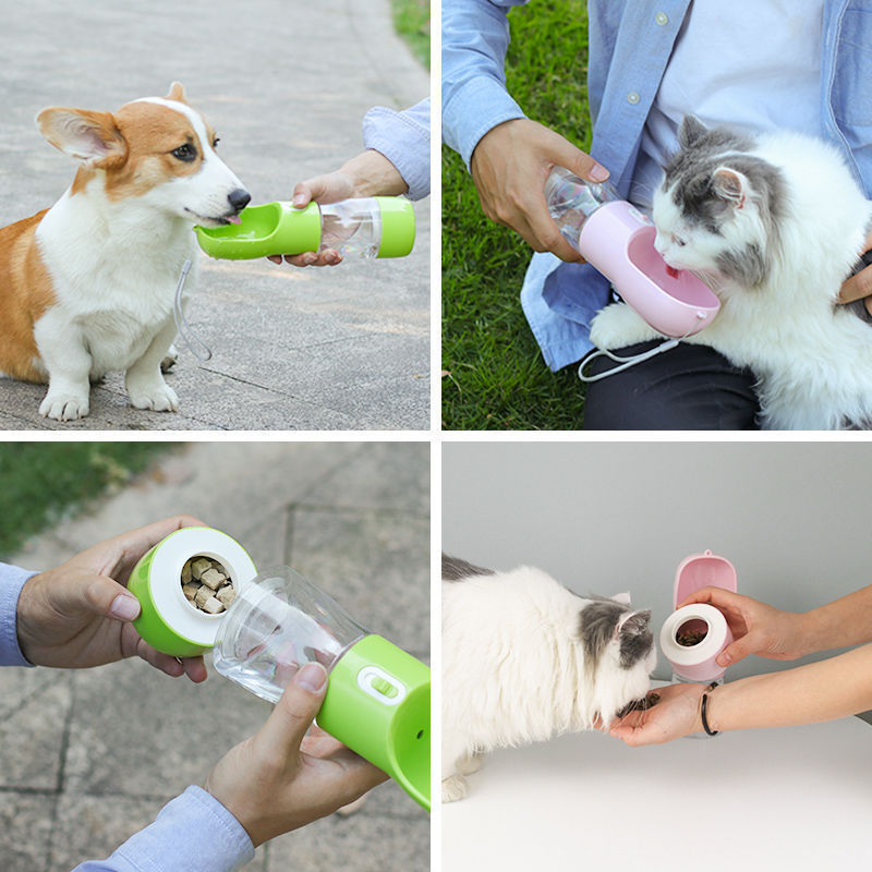 A bottle of water and food for the trip