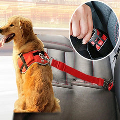 Dog Harness