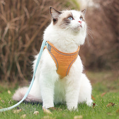 Traction Rope For Out And Breathable Cats