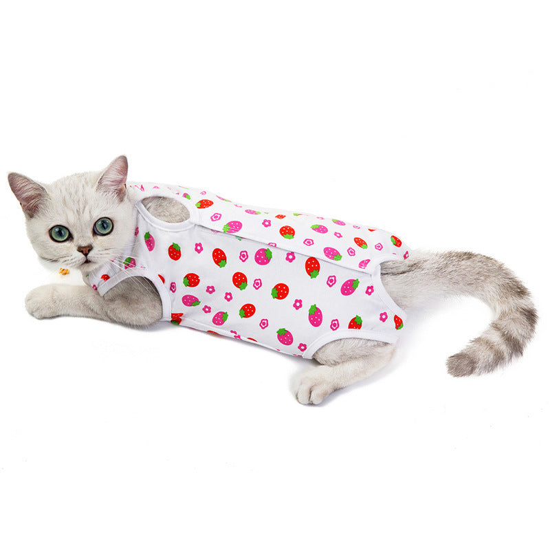 Clothes for cats