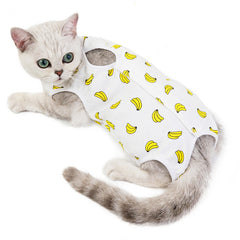 Clothes for cats