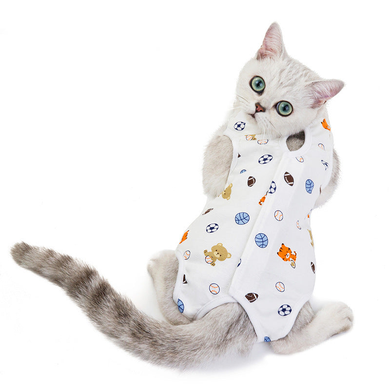 Clothes for cats