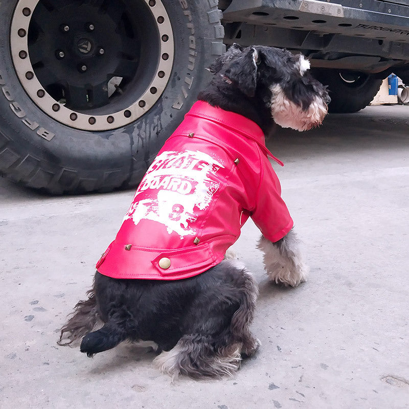 Leather-like coat for a dog