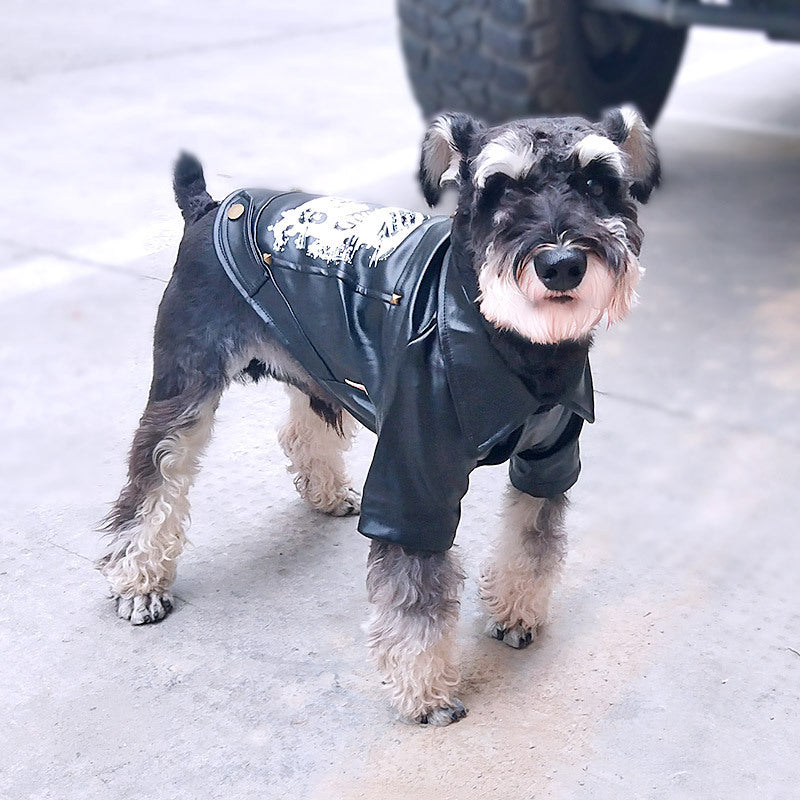 Leather-like coat for a dog