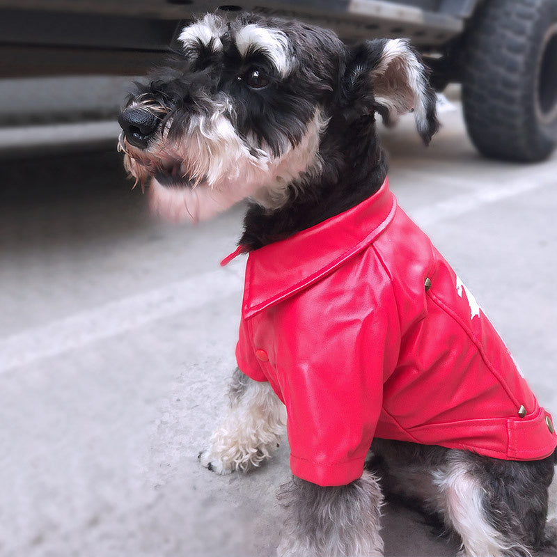 Leather-like coat for a dog