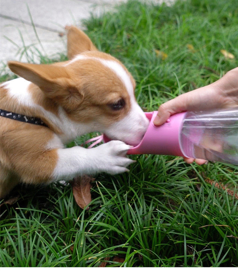 Pet Water Dispenser