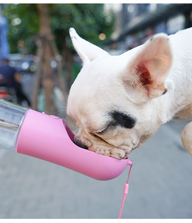 Pet Water Dispenser