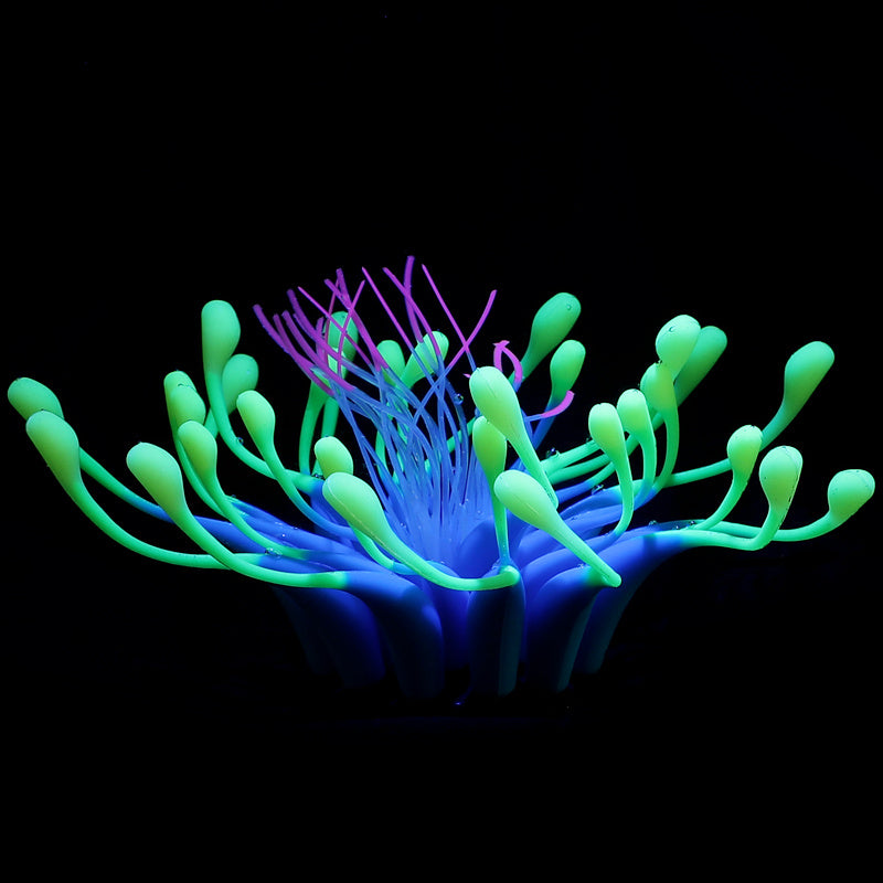 Luminous plants for the aquarium