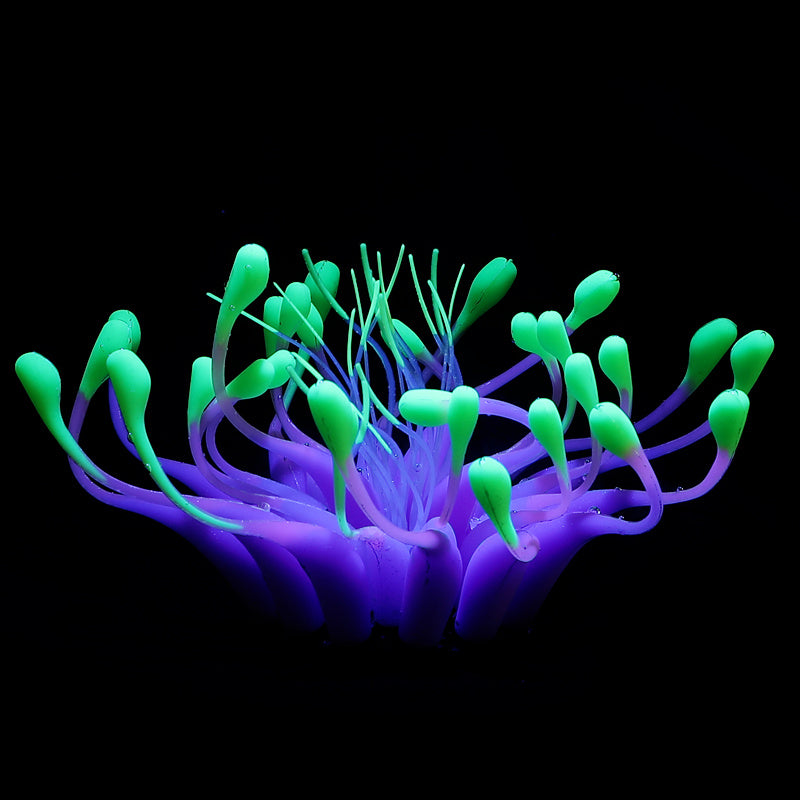 Luminous plants for the aquarium