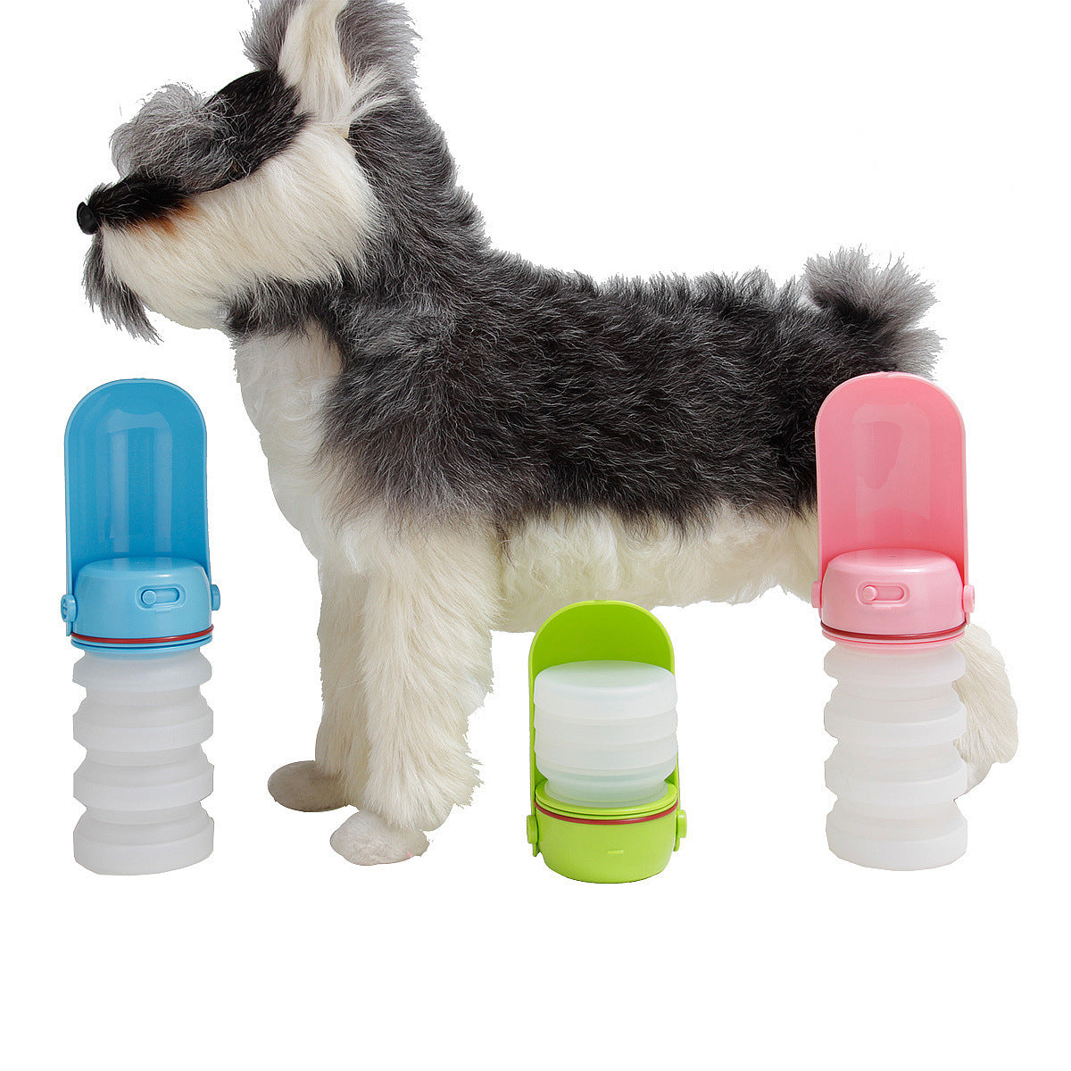 Water bottle for dogs