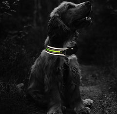 Pet Collars Thicken Comfortable