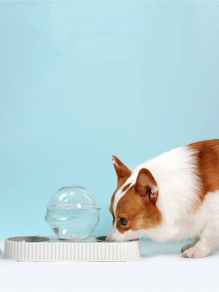 Pet Bowl