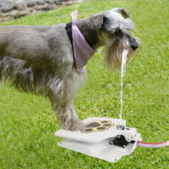 Pet drinking fountain