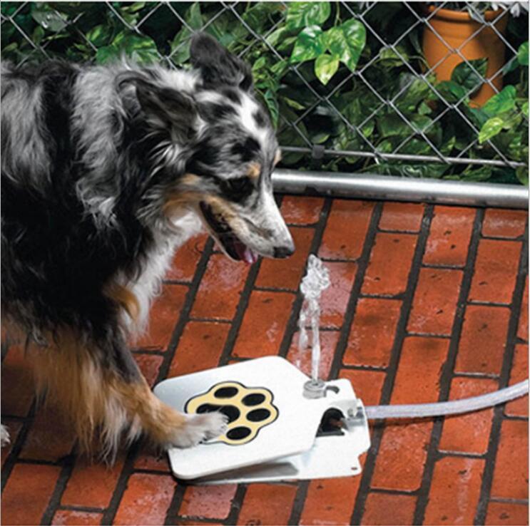 Pet drinking fountain