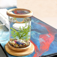 Small Glass Aquarium Bamboo Base