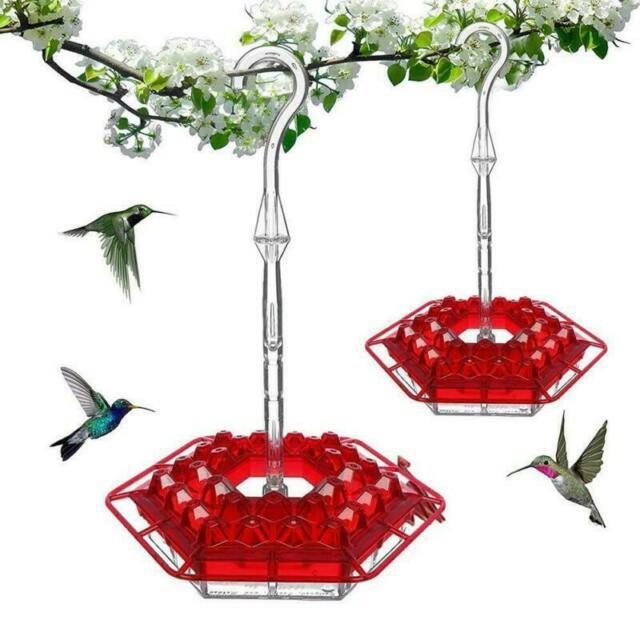 Water dispenser for birds