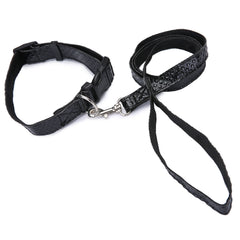 Pet Collar Traction Set