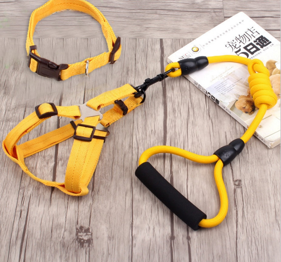 pet harness rope