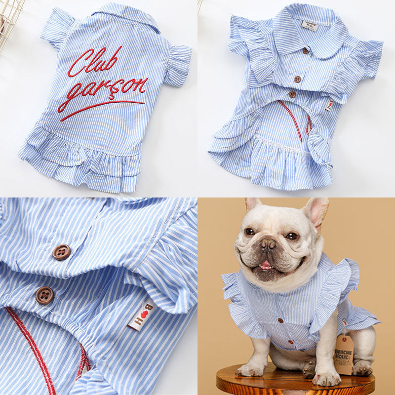 Pet clothes