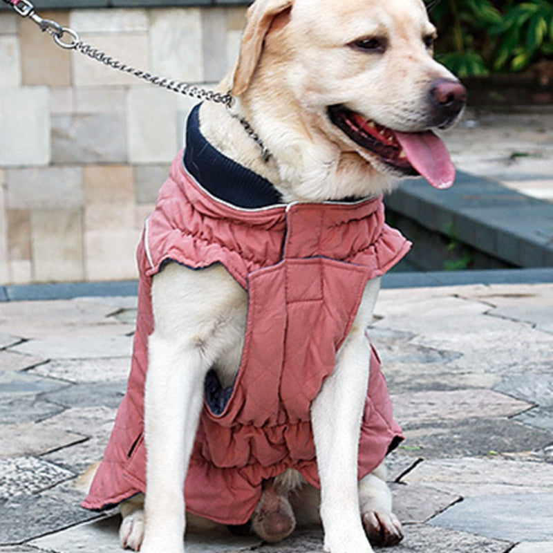 A Pet Jacket Vest