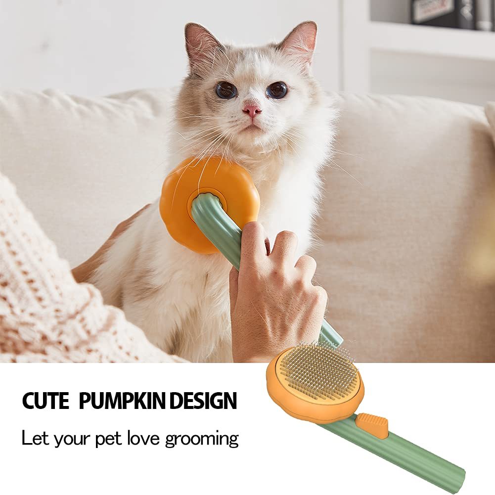 Pet Pumpkin Brush