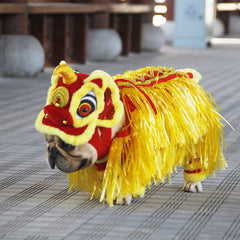 Pet Costume Little Lion Clothes