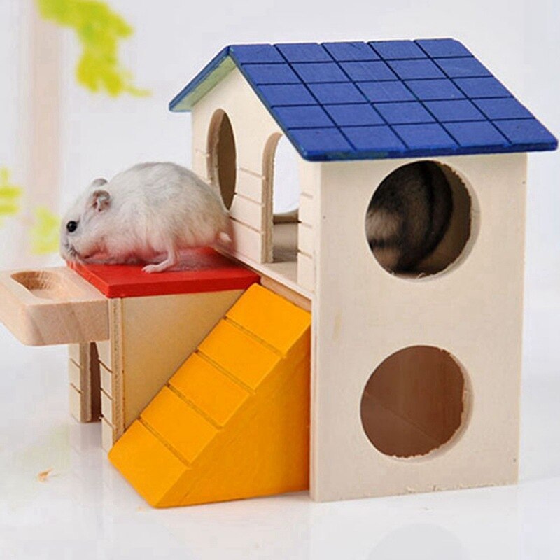 small pet color house