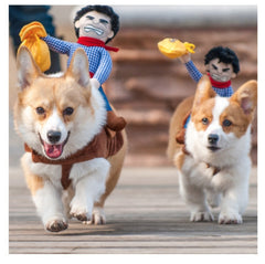 pet Costumes