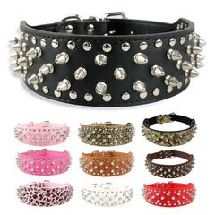 dog rivet collar