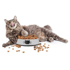 Pet bowl