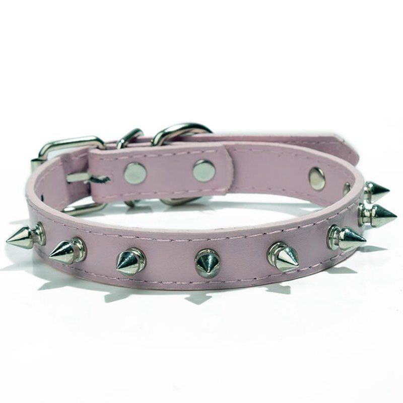 Pet With Multicolor Dog Collar