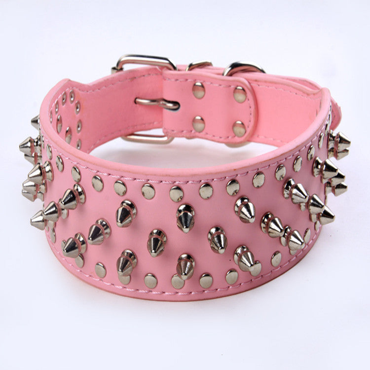 dog rivet collar