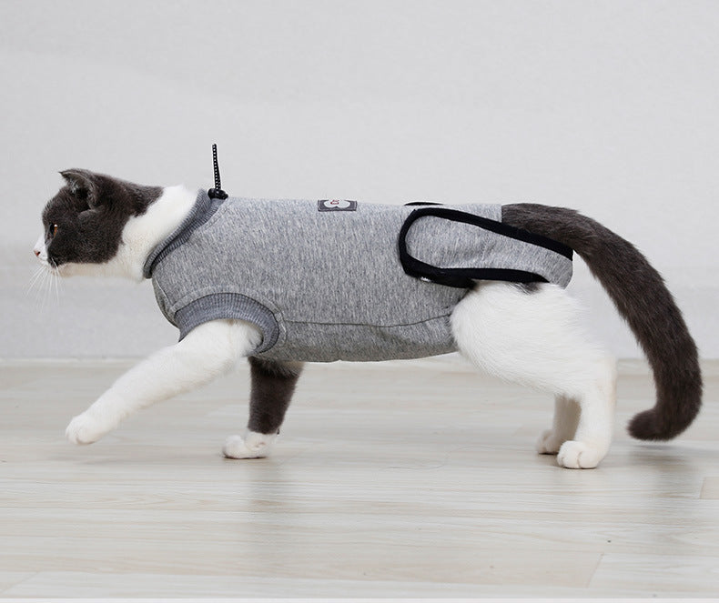Cat Clothing