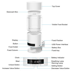 Automatic fish feeder