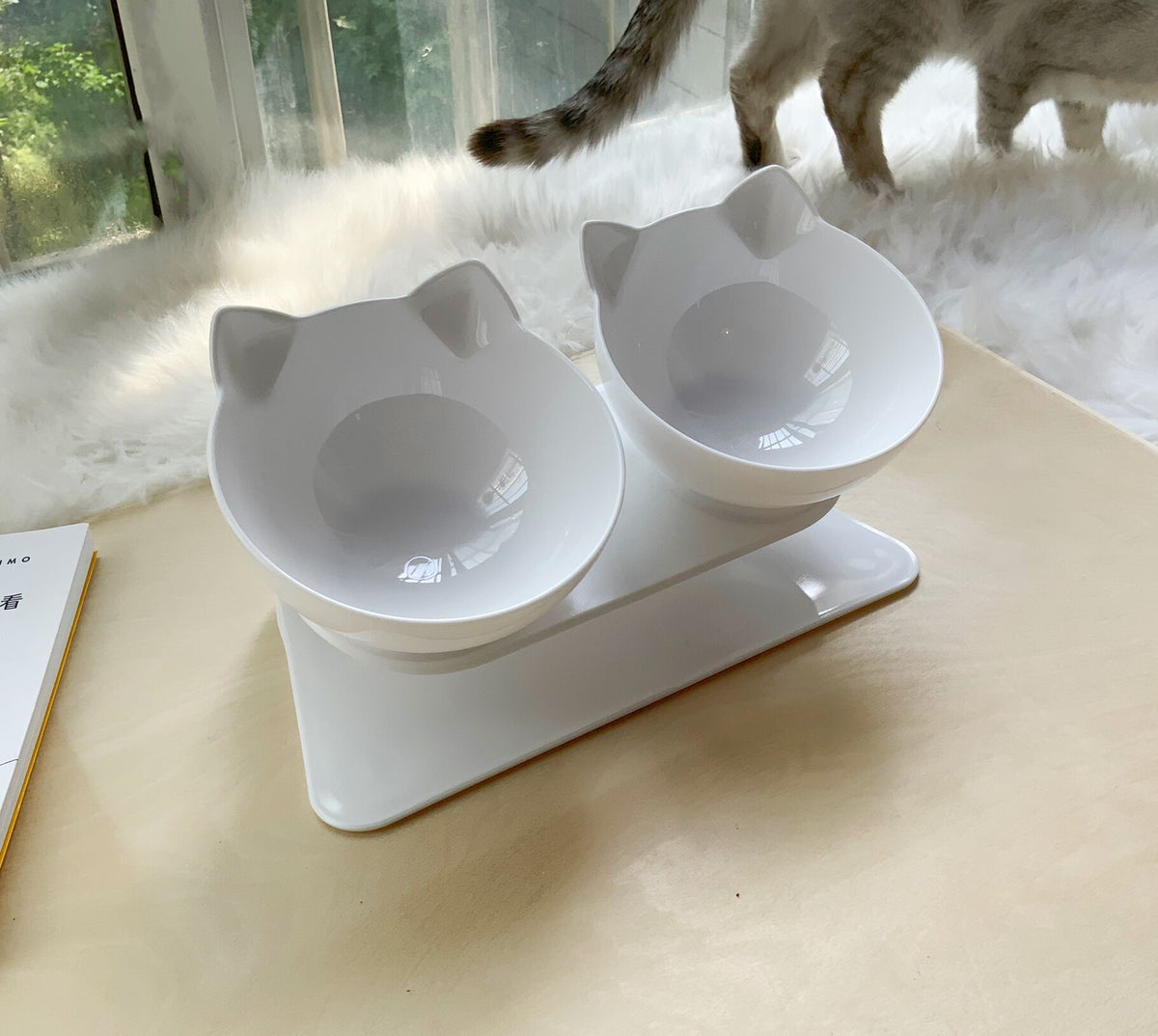 cat bowl non-slip