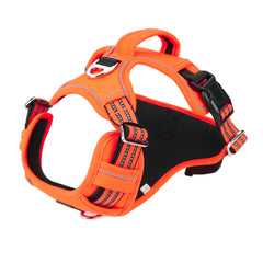 Pet Sports Chest Strap