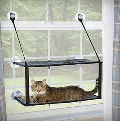 cat hammock