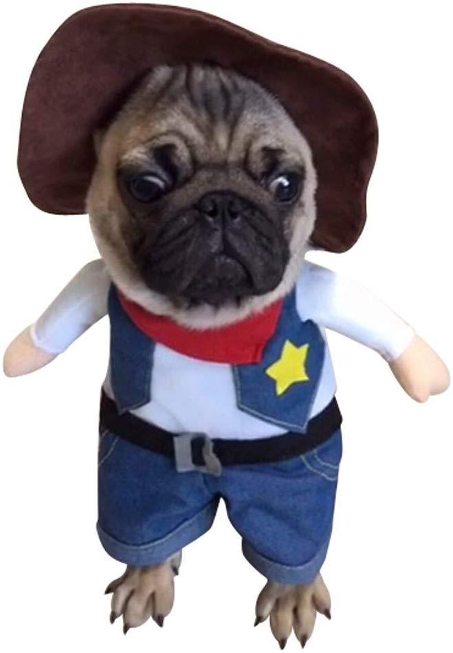 Pet costume