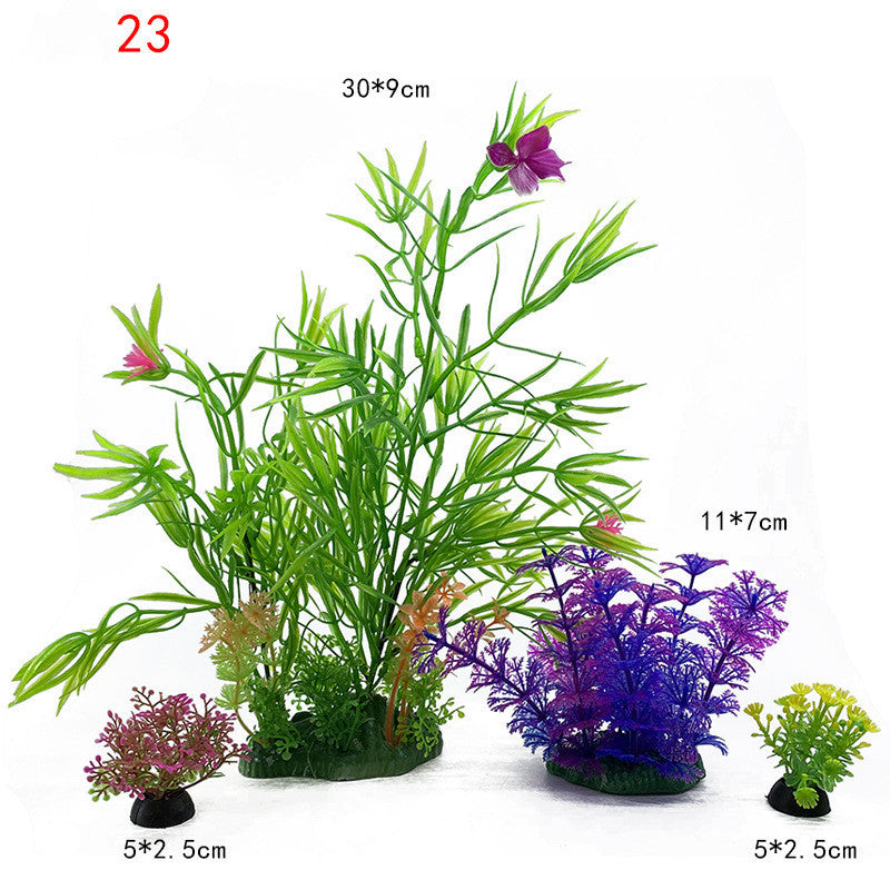 Plants for the aquarium