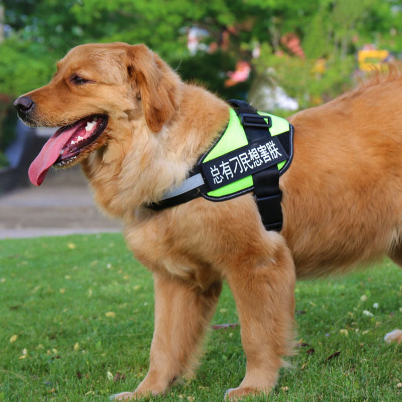 Pet Chest Harness