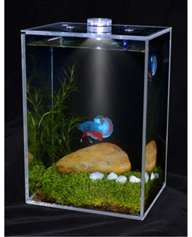 Fish tank creative transparent white square