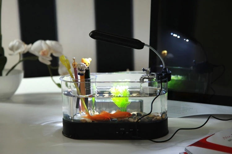 A designed aquarium