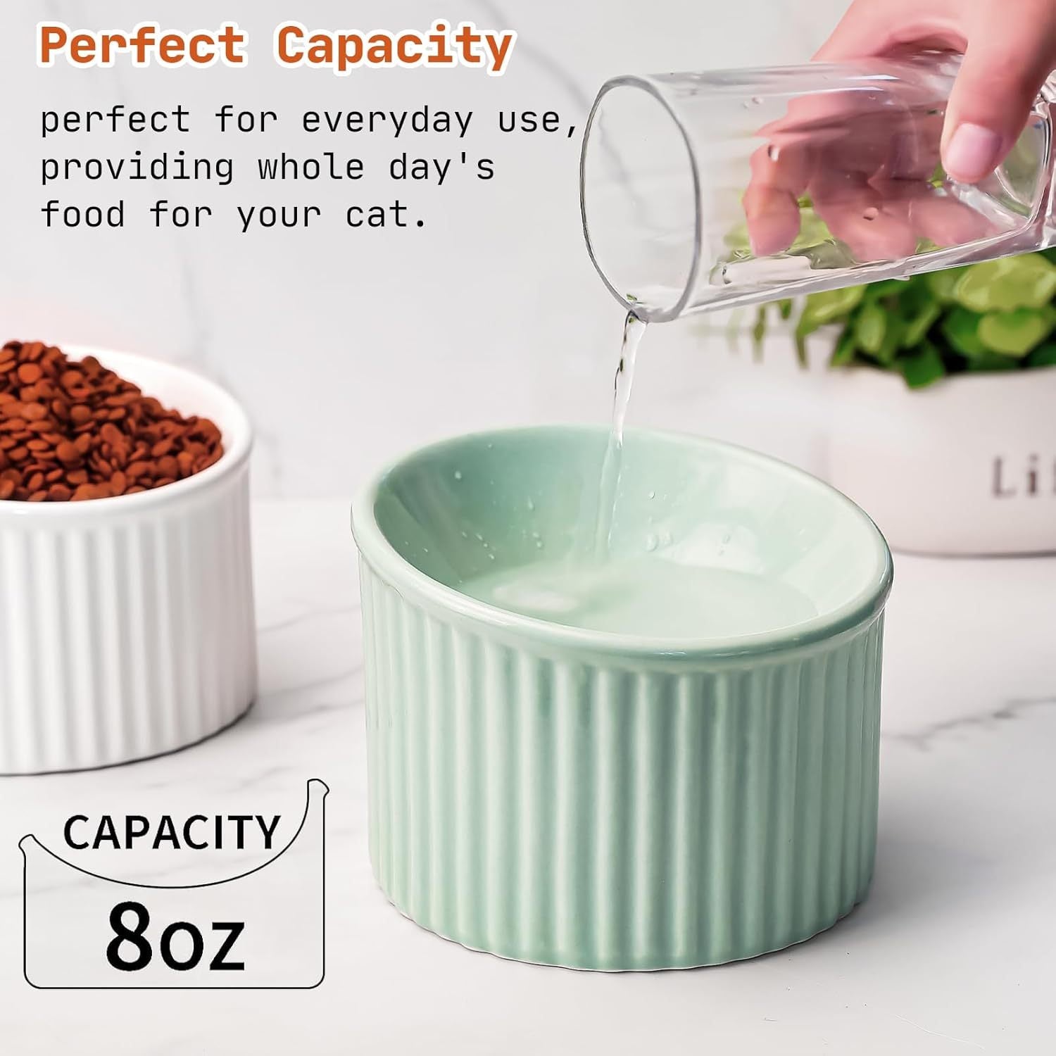 Pet food bowls