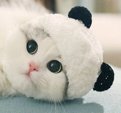 Panda costume pet hat